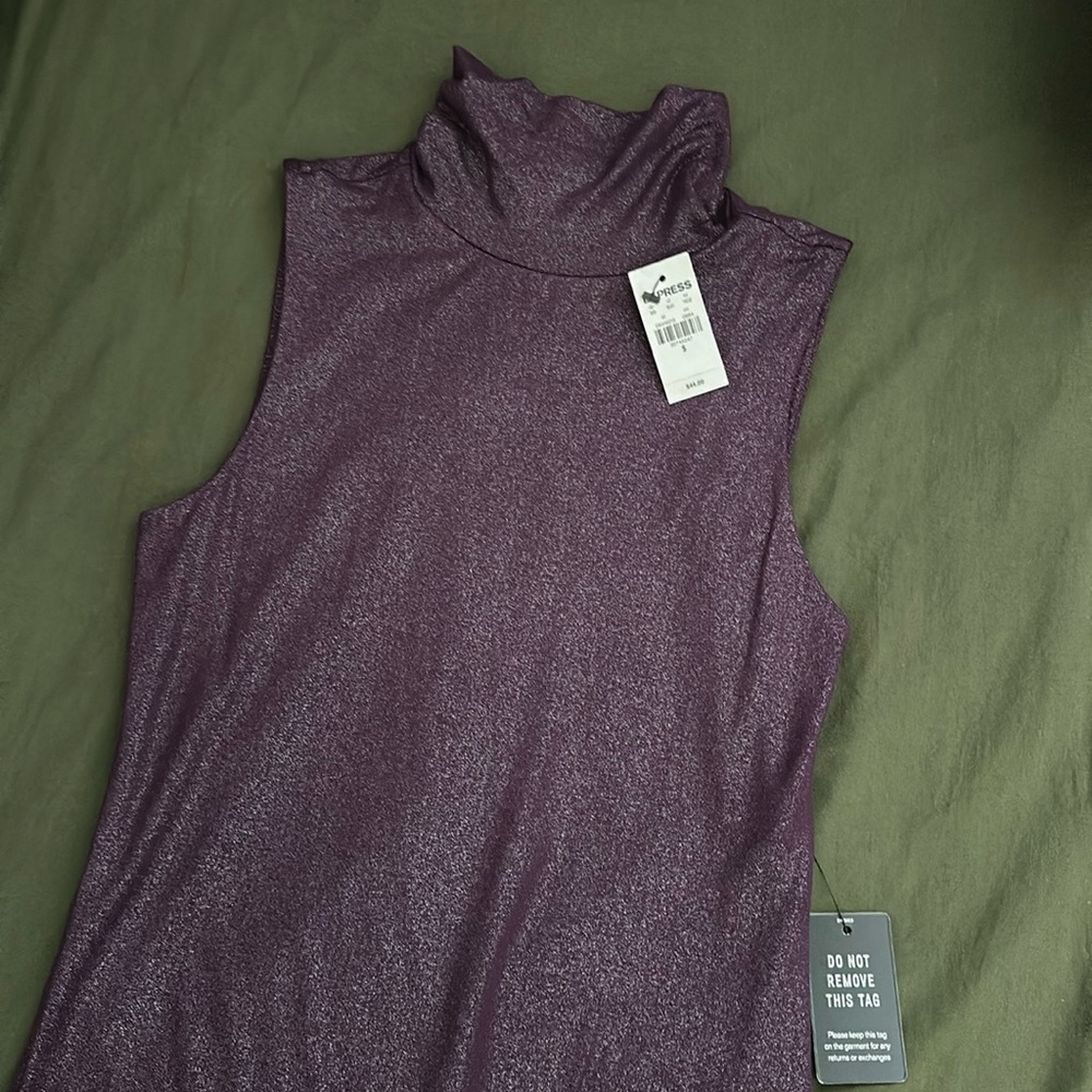 Express Shimmer Sleeveless Bodysuit